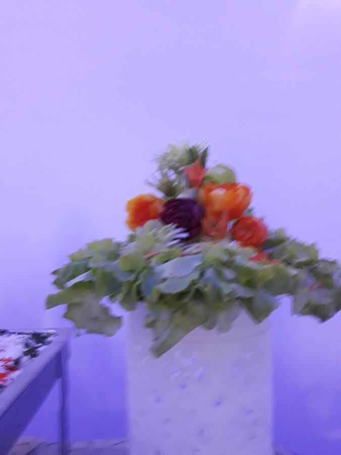 Angunakolapelessa Avanya Hotel And Reception Hall מראה חיצוני תמונה